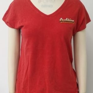 TD/KT/441 COMPOSITION: 100% COTTON S/J GSM: 180